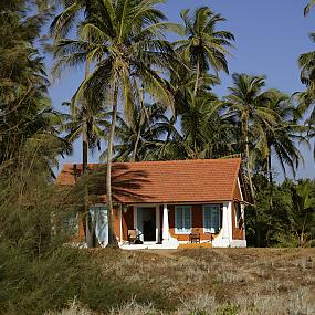 elsewhere-goa-10