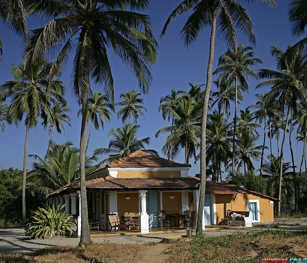 elsewhere-goa-15