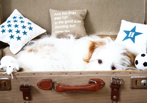 diy-dog-beds-01