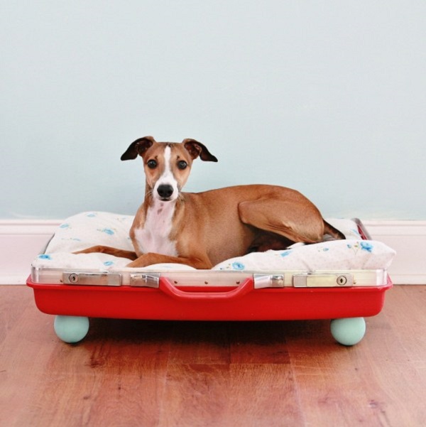 diy-dog-beds-09