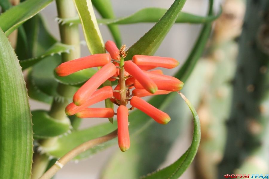 lithuania-travel-144