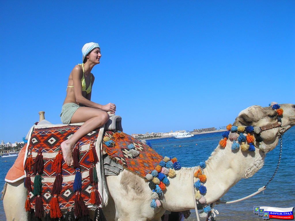 Немного О Себе