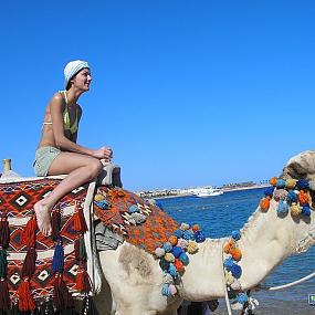 Немного О Себе