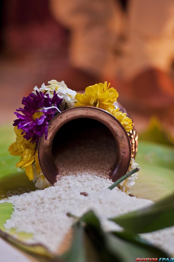 wedding-ceremony-470
