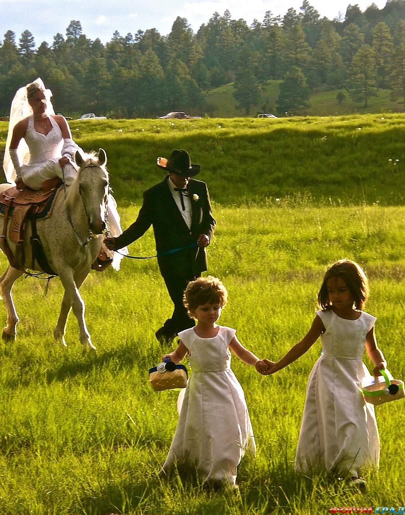 wedding-ceremony-484