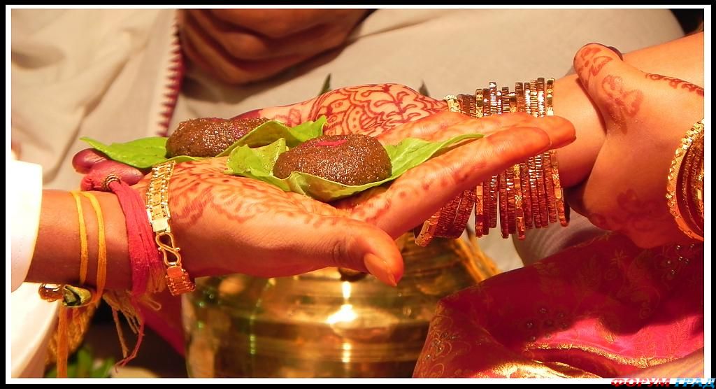 wedding-ceremony-493