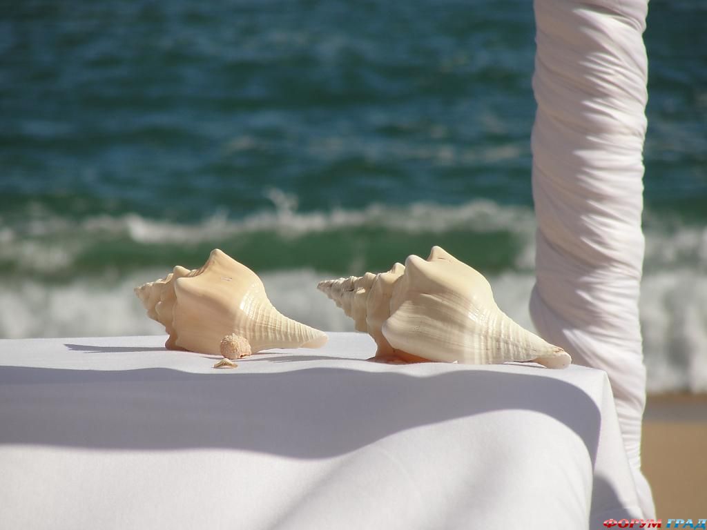 wedding-ceremony-546