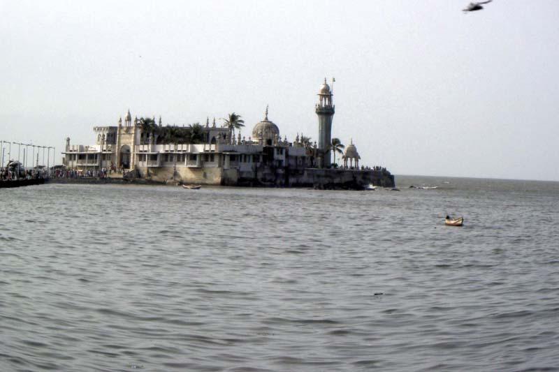 elephant-island-01