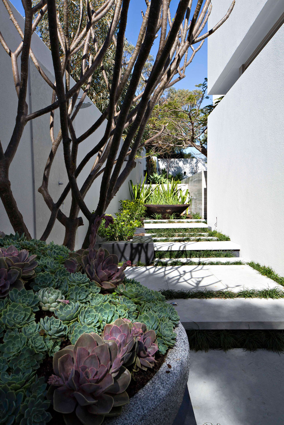 branksome-by-tim-davies-landscaping-03