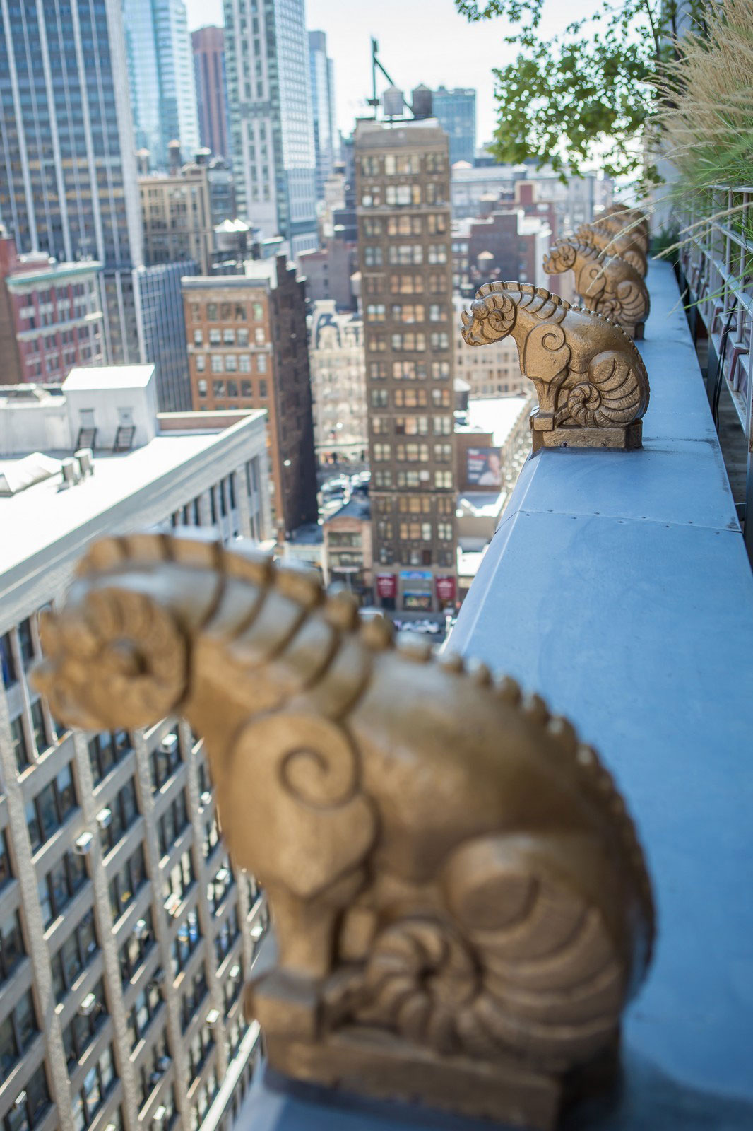 condominium-in-new-york-03