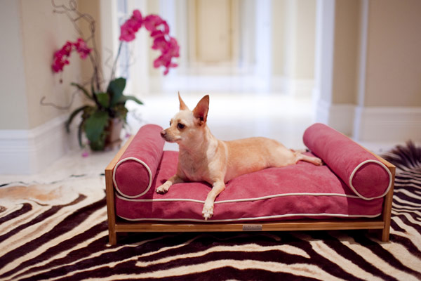 furniture-for-pets-02