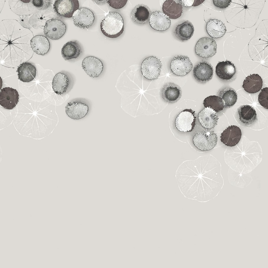 wallpapers-designed-by-trove-02