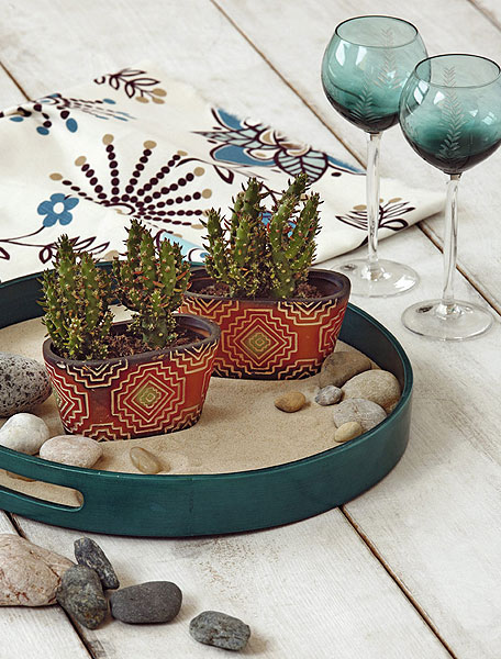 arranged-houseplants-05