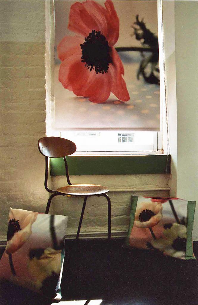 blinds-with-a-view-01