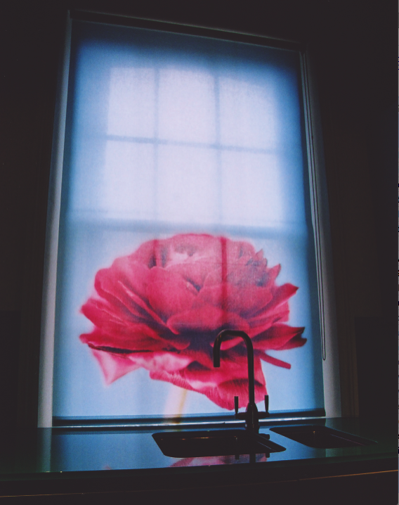 blinds-with-a-view-02