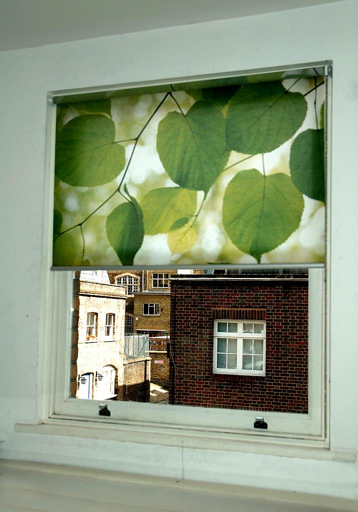 blinds-with-a-view-03