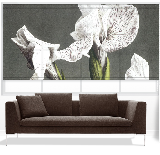 electric-image-roller-blinds-01