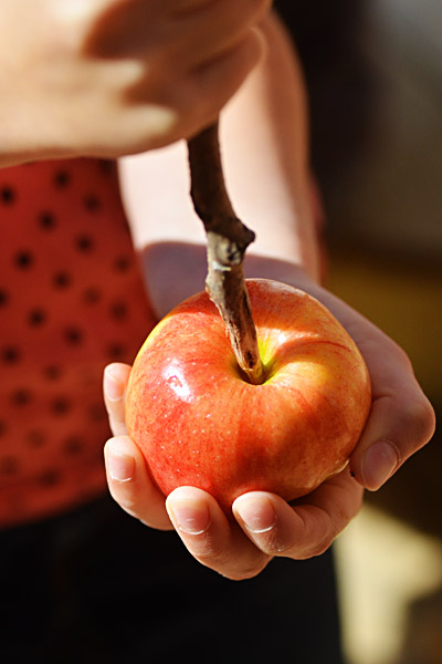 how-to-make-candy-apples-diy-favors-07