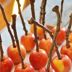 how-to-make-candy-apples-diy-favors-08