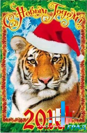 новый год 2010