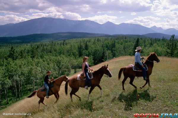 82c3efbc898aaec77fdf6bb92e6b4f07