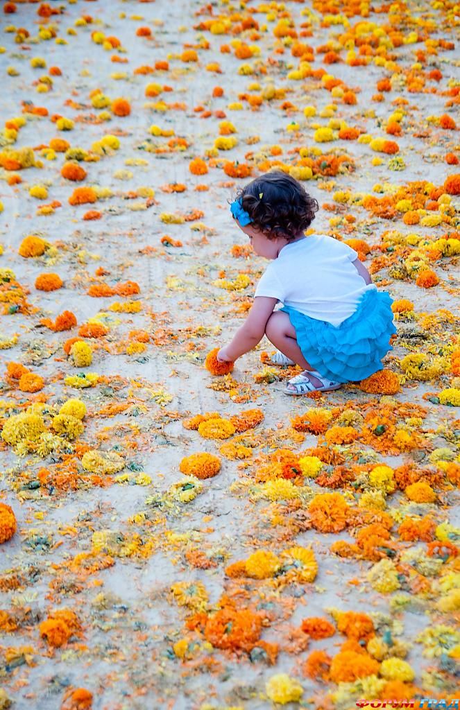 babieschildrenflowerorangevalencia-39