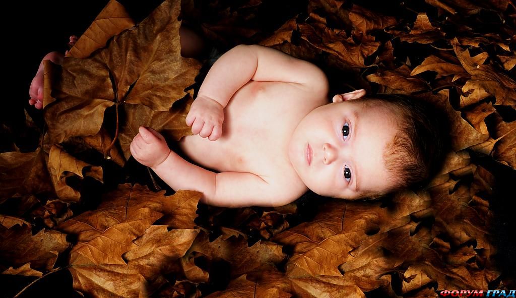baby-river-in-maple-leaves-79