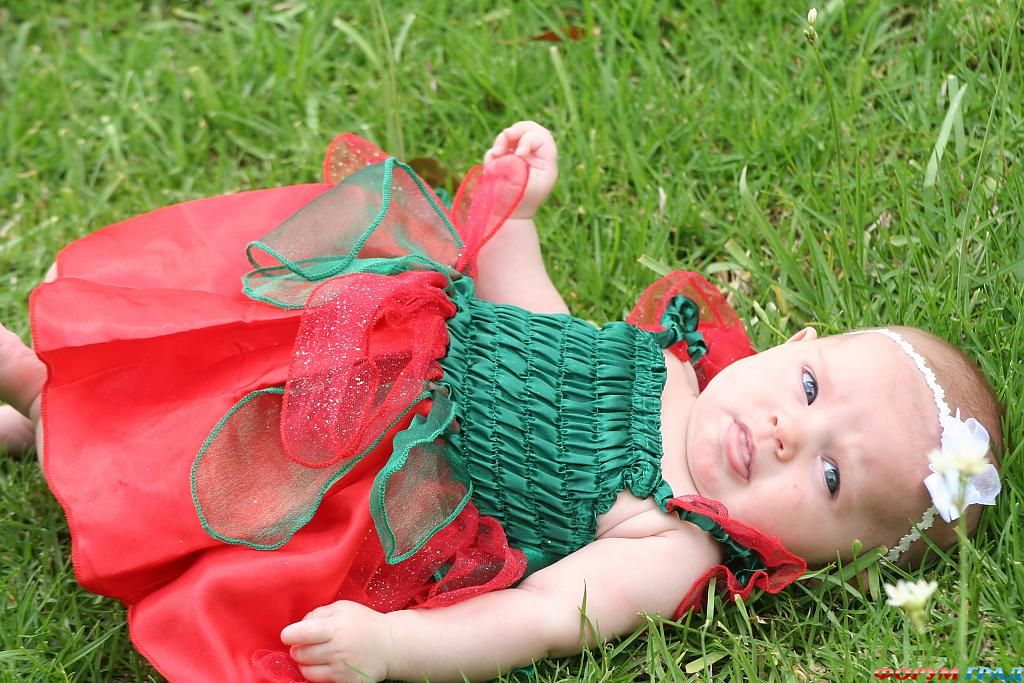 garden-fairy-230