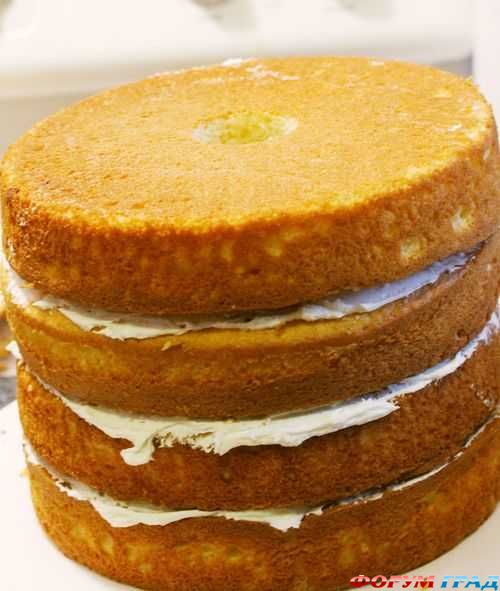 cake cross