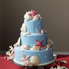 cake with seashells