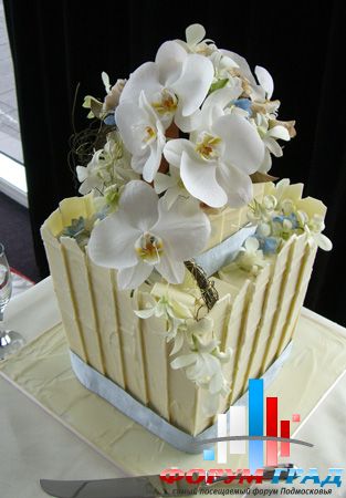 Cake 3