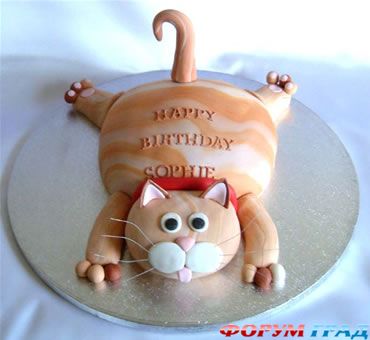 cake cat