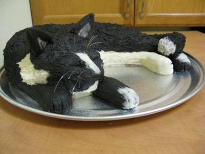 cake cat