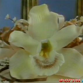 орхидея из сахарной мастики