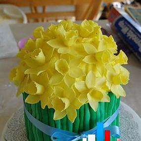 Daffodilcake 