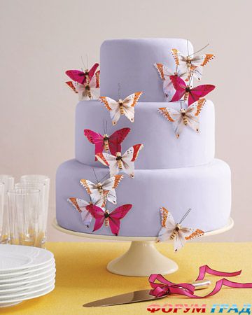 mwd104251 win09 bfllycake xl