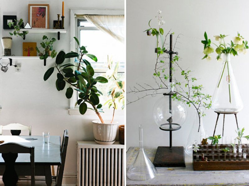 indoor-plants-002