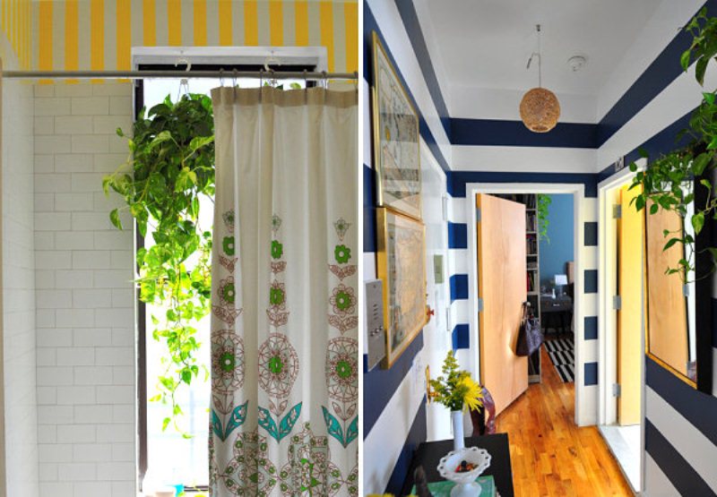 indoor-plants-006