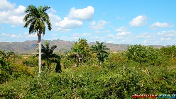 valle-de-los-ingenios