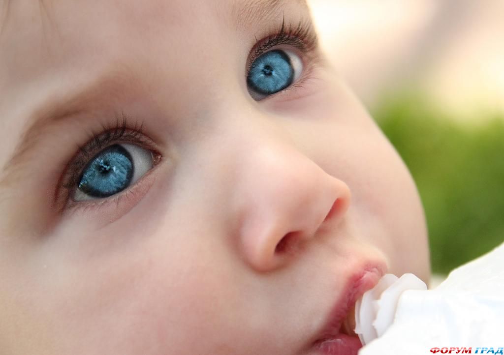 audition-for-the-next-gerber-baby-commercial-28