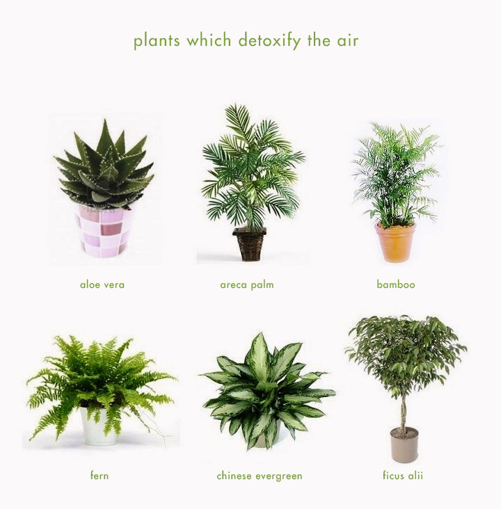 home-cafe-by-penda-beijing-china-04