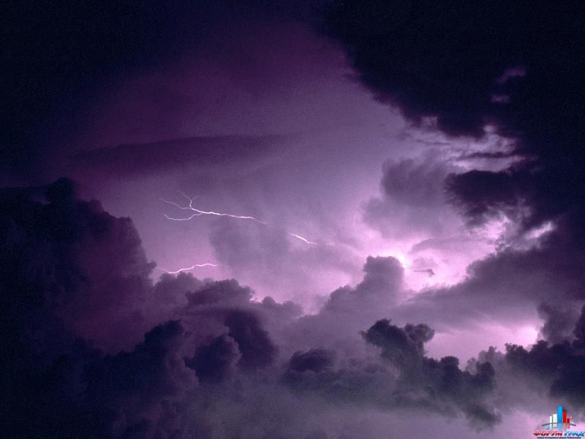 форум о природе