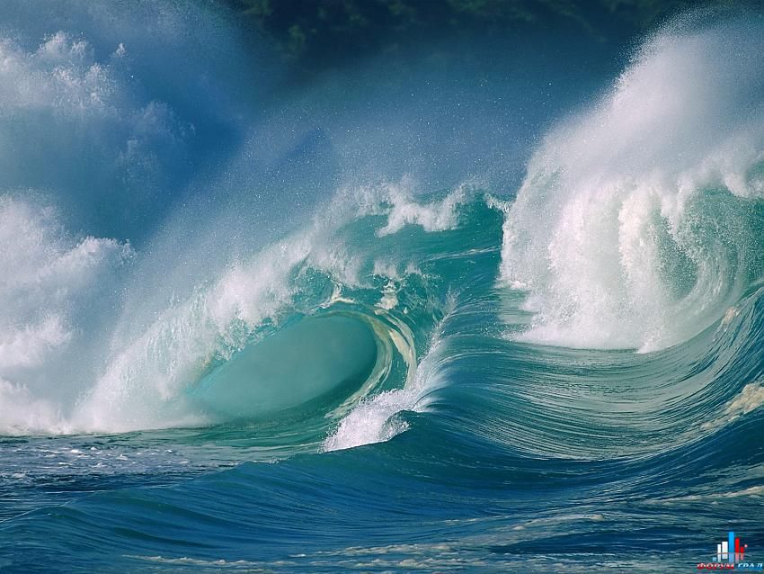 форум о природе