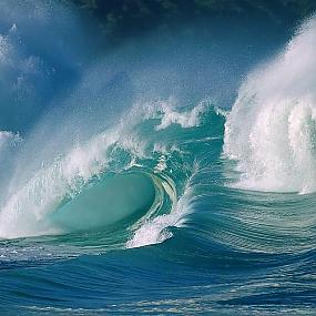 форум о природе