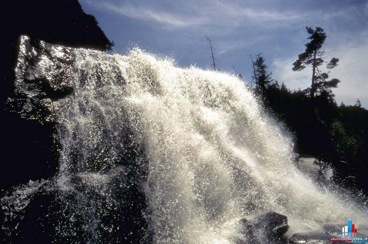 форум о природе