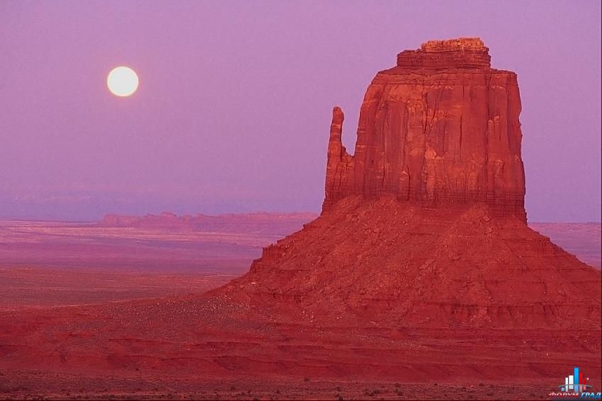 форум о природе