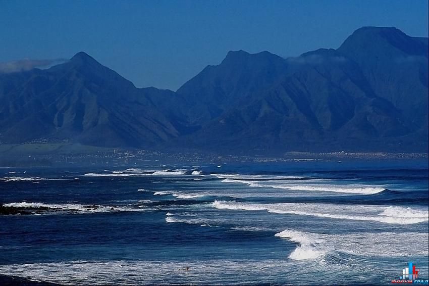 форум о природе