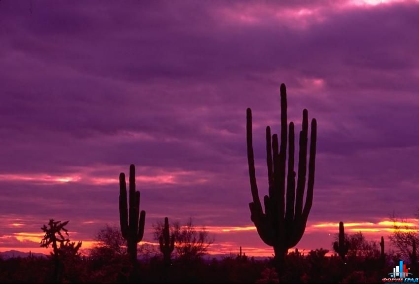 форум о природе