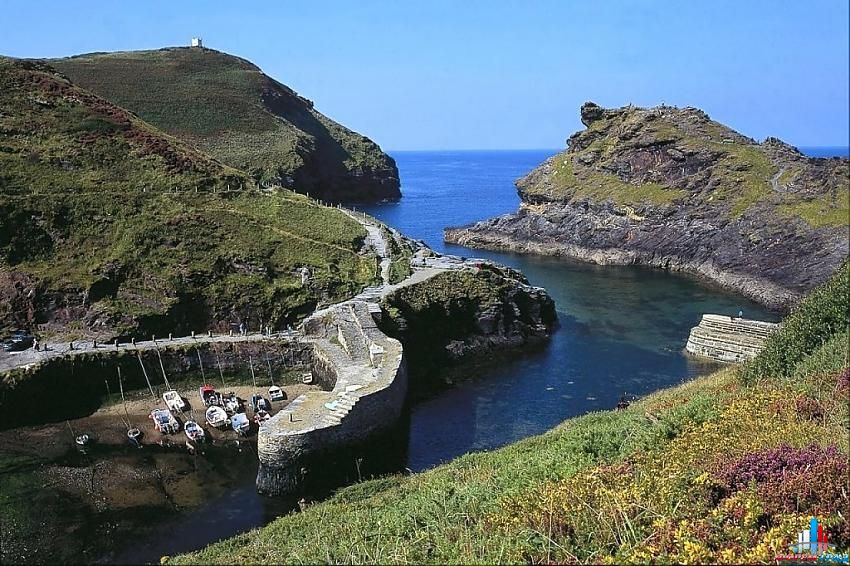 форум о природе