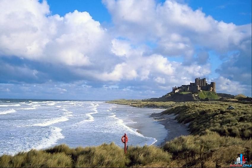 форум о природе